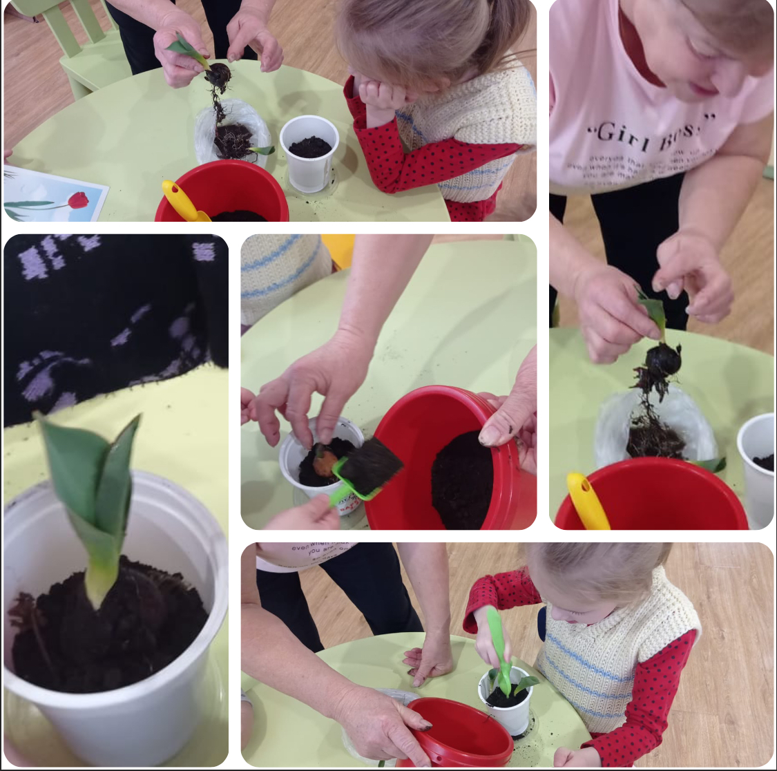 image 07 02 25 09 40 2