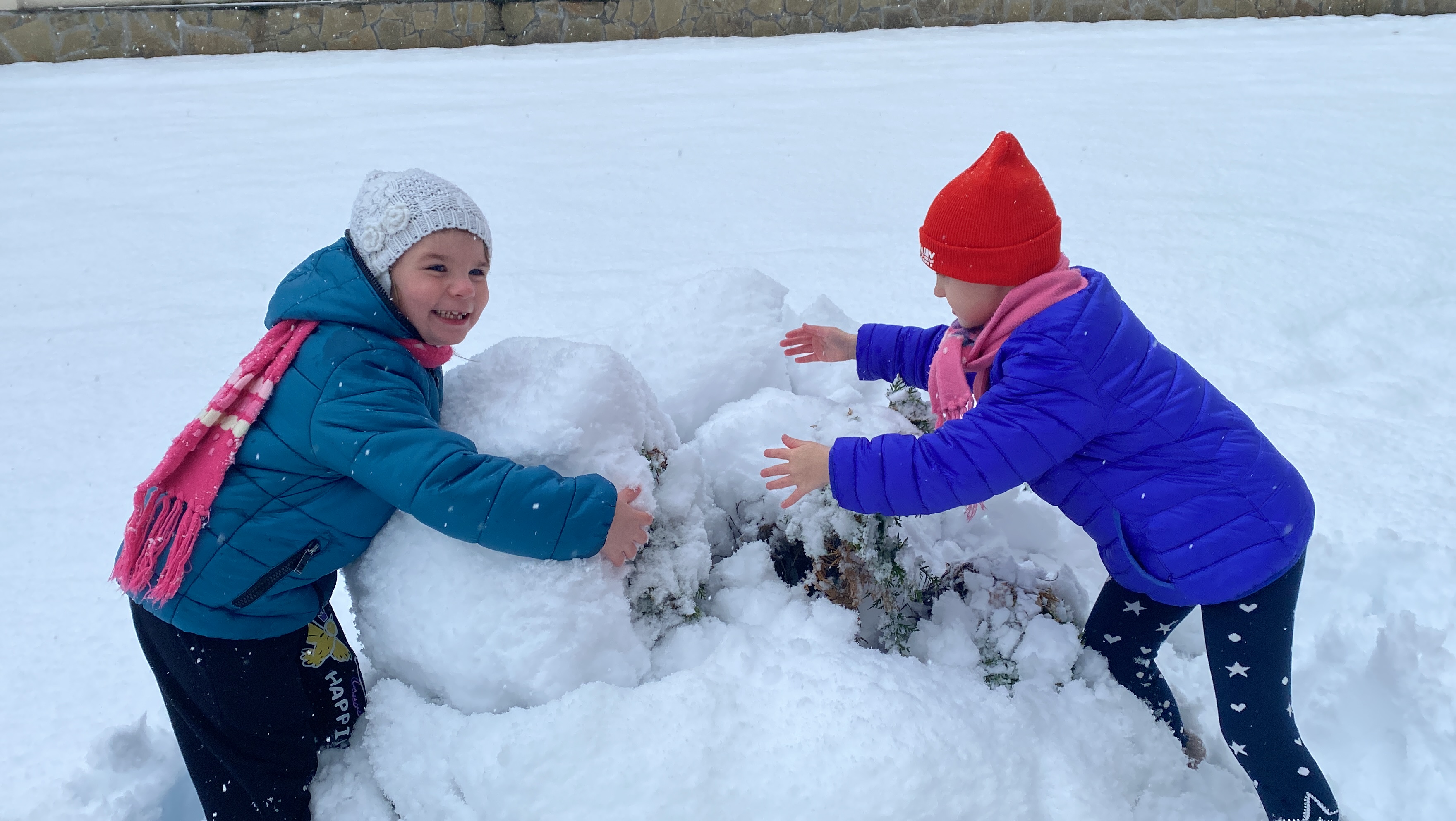 image 28 11 24 02 08